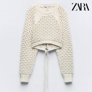 Zara Cut-Out Cropped Crochet Knit Top